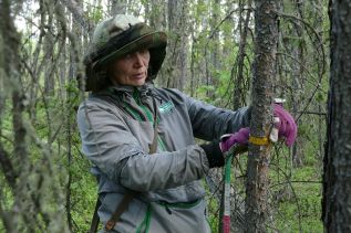 СОВМЕСТНЫЙ РОССИЙСКО-КИТАЙСКИЙ НАУЧНЫЙ ПРОЕКТ